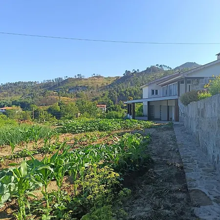 Casa Dos Valentes Marco de Canavezes